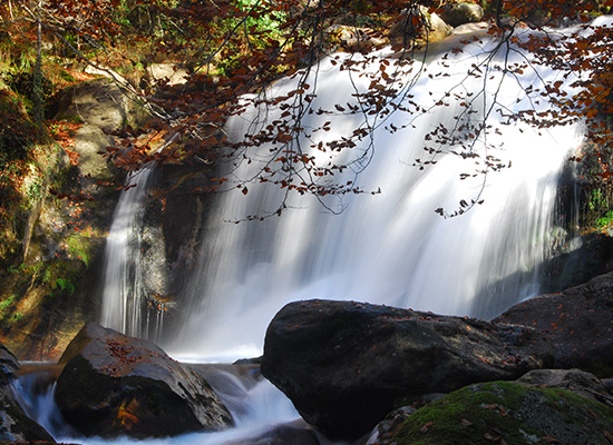 LA FRAÎCHEUR DES CASCADES