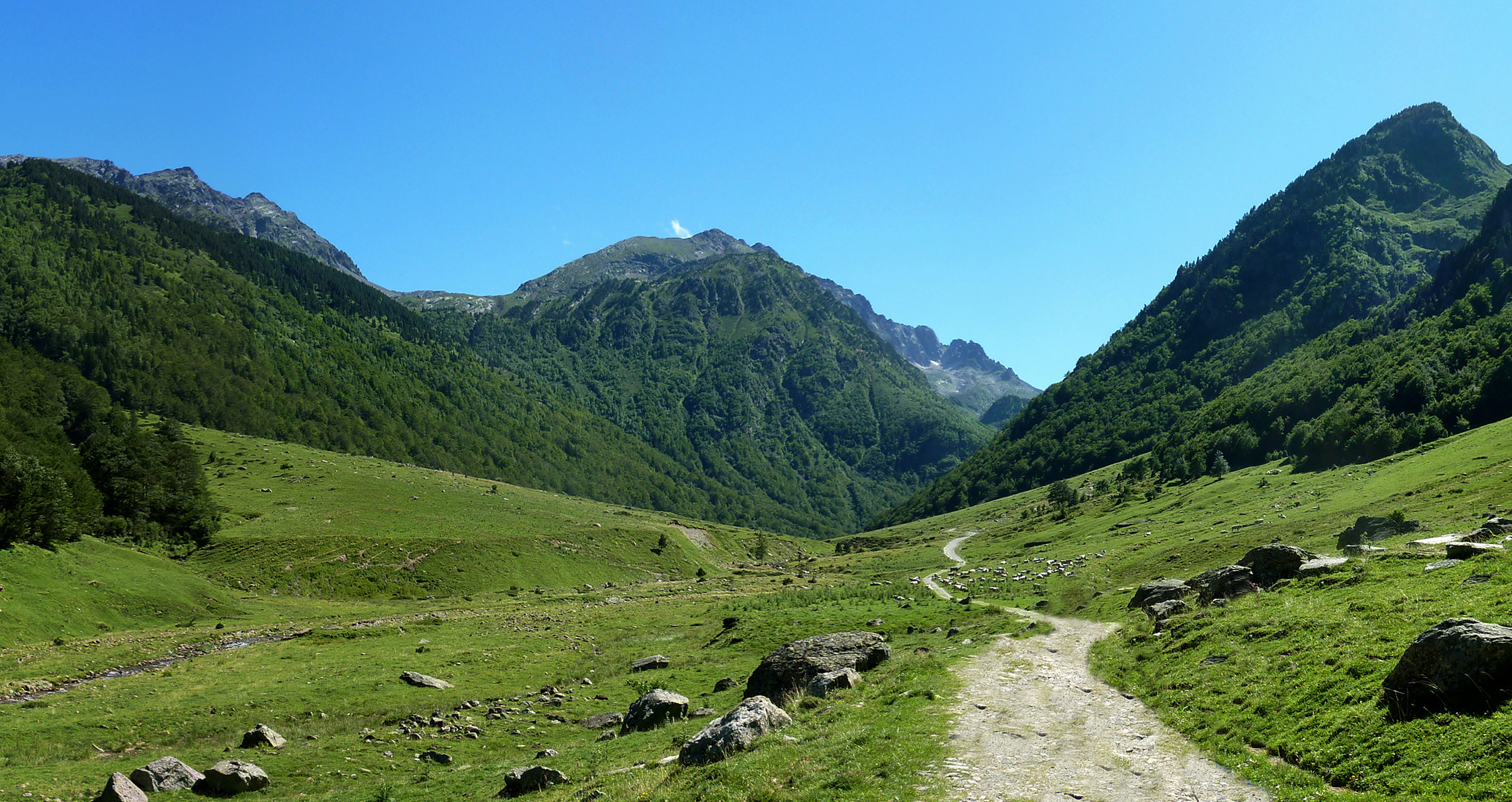 2 JOURS NATURE ET DÉCOUVERTES